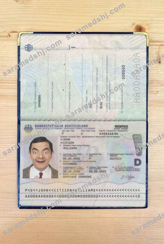 Germany passport (2017-present) photo look